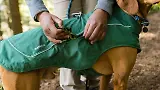 Thumbnail 11 of RUFFWEAR Overcoat Fuse Dog Jacket/Harness - Basalt Gray