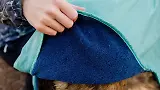 Thumbnail 12 of RUFFWEAR Dirtbag Dog Drying Towel (Large) - Aurora Teal