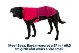 Thumbnail 10 of RUFFWEAR Sun Shower Dog Raincoat - Earth Brown