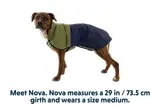 Thumbnail 11 of RUFFWEAR Sun Shower Dog Raincoat - Earth Brown