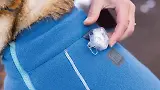Thumbnail 9 of RUFFWEAR Climate Changer Dog Fleece - Blue Jay