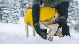 Thumbnail 7 of RUFFWEAR Vert™ Dog Jacket - Mineral Yellow