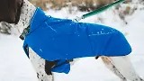 Thumbnail 9 of RUFFWEAR Vert™ Dog Jacket - Mineral Yellow