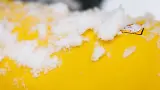 Thumbnail 8 of RUFFWEAR Vert™ Dog Jacket - Mineral Yellow