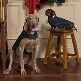 Thumbnail 9 of Joules Packaway Dog Jacket - Blackwatch Check