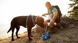 Thumbnail 2 of RUFFWEAR Quencher Packable Dog Bowl - Coastal Mountains (Medium)