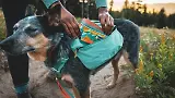 Thumbnail 8 of RUFFWEAR Front Range Day Pack - River Rock Green
