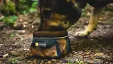Thumbnail 2 of RUFFWEAR Quencher Packable Dog Bowl - Moonlight Mountains (Medium)