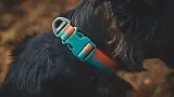 Thumbnail 5 of RUFFWEAR Front Range Dog Collar - Basalt Gray