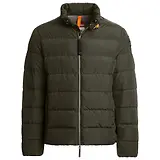 Thumbnail 1 of Parajumpers Men's Alger Matte Down Jacket - Deep Moss