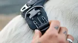 Thumbnail 12 of RUFFWEAR Front Range Dog Harness - Moonlight Mountains