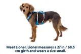 Thumbnail 15 of RUFFWEAR Flagline Dog Harness - Basalt Grey