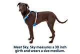 Thumbnail 15 of RUFFWEAR Hi & Light Lightweight Dog Harness - Basalt Grey