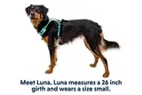 Thumbnail 14 of RUFFWEAR Hi & Light Lightweight Dog Harness - Basalt Grey