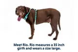 Thumbnail 16 of RUFFWEAR Hi & Light Lightweight Dog Harness - Basalt Grey