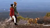 Thumbnail 10 of RUFFWEAR Roamer Bungee Dog Lead - Orion Blue