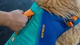 Thumbnail 11 of RUFFWEAR Float Coat Dog Life Jacket - Wave Orange