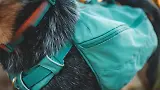 Thumbnail 7 of RUFFWEAR Front Range Day Pack - River Rock Green