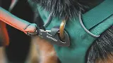 Thumbnail 9 of RUFFWEAR Front Range Day Pack - River Rock Green