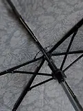 Thumbnail 4 of Joules Rayne Floral Printed Umbrella - Black