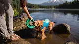 Thumbnail 8 of RUFFWEAR Hydro Plane Floating Throw Toy - Campfire Orange