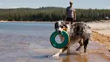 Thumbnail 7 of RUFFWEAR Hydro Plane Floating Throw Toy - Campfire Orange