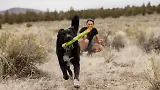 Thumbnail 4 of RUFFWEAR Gnawt-a-Stick - Lichen Green