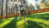 Thumbnail 6 of RUFFWEAR Toadstool Dog Toy - Moss Green