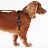 Thumbnail 4 of Barbour Tartan Dog Harness - Classic Tartan