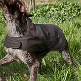Thumbnail 9 of Barbour Wax Dog Coat - Olive