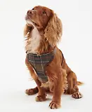 Thumbnail 2 of Barbour Travel & Exercise Dog Harness - Classic Tartan