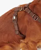 Thumbnail 6 of Barbour Travel & Exercise Dog Harness - Classic Tartan