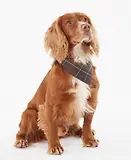 Thumbnail 2 of Barbour Tartan Dog Bandana - Classic Tartan