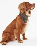 Thumbnail 3 of Barbour Tartan Dog Bandana - Classic Tartan