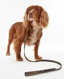 Thumbnail 2 of Barbour Reflective Tartan Dog Lead - Classic Tartan