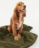 Thumbnail 3 of Barbour Dog Bone Quilted Blanket - Dark Olive