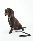 Thumbnail 4 of Barbour Reflective Tartan Comfort Dog Lead - Classic Tartan