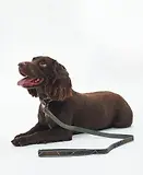 Thumbnail 2 of Barbour Reflective Tartan Comfort Dog Lead - Classic Tartan