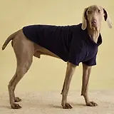 Thumbnail 2 of Joules Dog Fleece - Navy