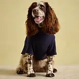 Thumbnail 8 of Joules Dog Fleece - Navy