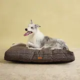 Thumbnail 8 of Joules Dog Mattress - Henson Check