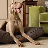 Thumbnail 2 of Joules Dog Mattress - Henson Check