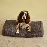 Thumbnail 9 of Joules Dog Mattress - Henson Check