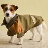 Thumbnail 2 of Joules Kennington Water Resistant Dog Coat - Brown & Khaki