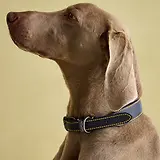 Thumbnail 2 of Joules Leather Dog Collar - Navy