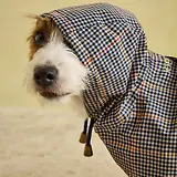 Thumbnail 14 of Joules Packaway Dog Jacket - Henson Check