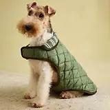 Thumbnail 9 of Joules Quilted Dog Coat - Khaki