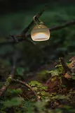 Thumbnail 10 of Snow Peak Mini Hozuki Lantern - Snow White
