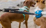 Thumbnail 7 of RUFFWEAR Double Track Dog Lead Coupler - Basalt Grey