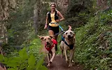 Thumbnail 8 of RUFFWEAR Double Track Dog Lead Coupler - Basalt Grey